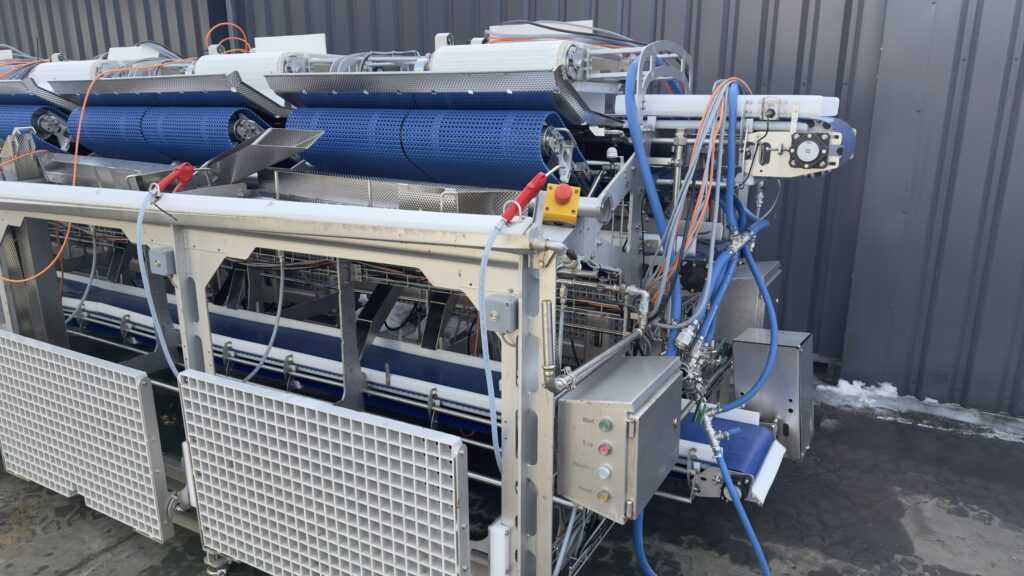 Linia sortująca VALKA przetwórstwo rybne przenośniki